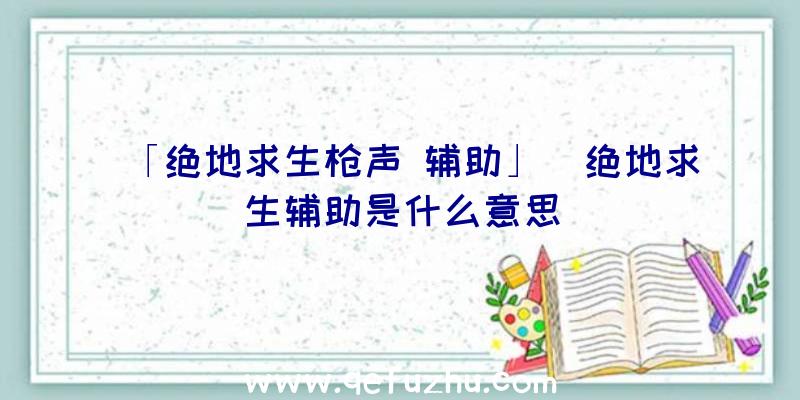 「绝地求生枪声